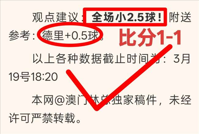 荷乙连战连,哪队状态更,世界杯投注,世界杯投注,2026世界杯,投注技巧,赔率分析,赛事预热