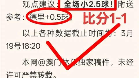 荷乙连战连胜，哪队状态更佳